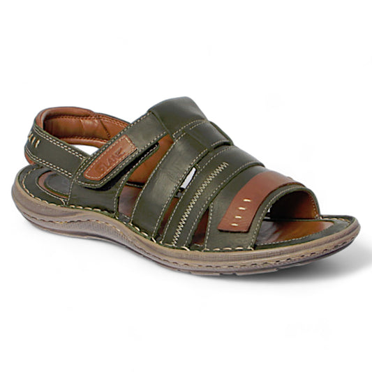 0027-1MGLSD0041-OLIVE