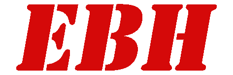 EBH Shoe – Men & Women’s Shoes Online in Pakistan – ENGLISH BOOT HOUSE