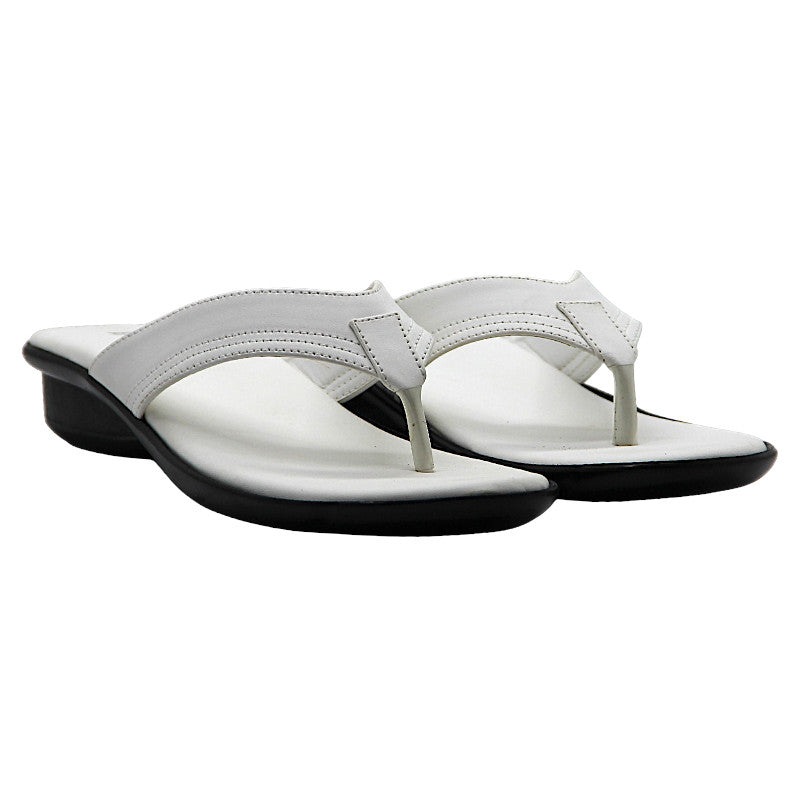 0047-2818-WHITE